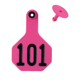 Y-Tex Pink All American 3 Star Tags Medium Numbered 101-125 : Pack of 25