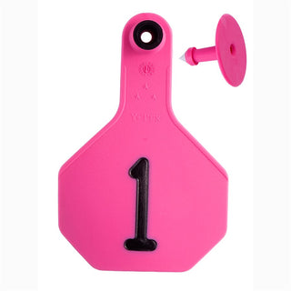 Y-Tex Pink All American 3 Star Tags Medium Numbered 1-25 : Pack of 25