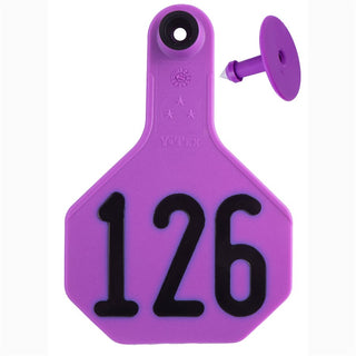 Y-Tex Purple All American 3 Star Tags Medium Numbered 126-150: Pack of 25