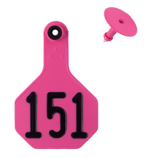 Y-Tex Pink All American 3 Star Tags Medium Numbered 151-175 : Pack of 25