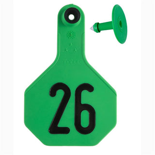 Y-Tex Green All American 3 Star Tags Medium Numbered 26-50: Pack of 25