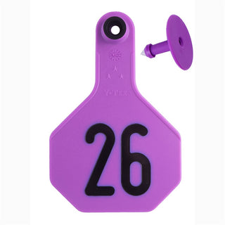 Y-Tex Purple All American 3 Star Tags Medium Numbered 26-50: Pack of 25