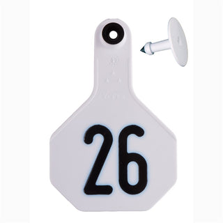 Y-Tex White All American 3 Star Tags Medium Numbered 26-50 : Pack of 25