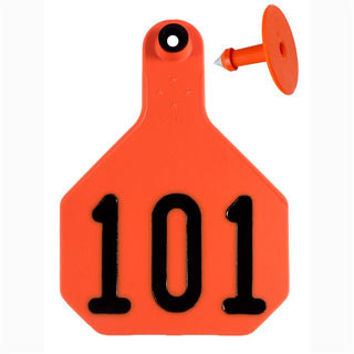 Y-Tex Orange All American 4 Star Tags Large Numbered 101-125 : Pack of 25