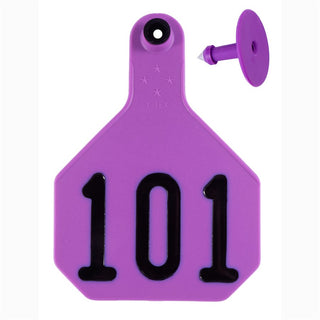 Y-Tex Purple All American 4 Star Tags Large Numbered 101-125 : Pack of 25