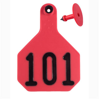 Y-Tex Red All American 4 Star Tags Large Numbered 101-125 : Pack of 25