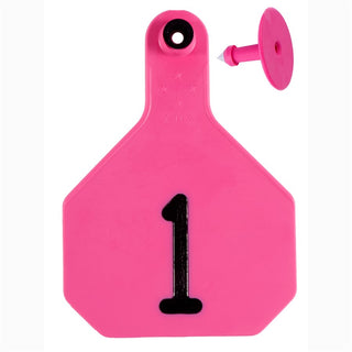 Y-Tex Pink All American 4 Star Tags Large Numbered 1-25 : Pack of 25