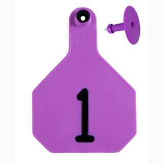 Y-Tex Purple All American 4 Star Tags Large Numbered 1-25 : Pack of 25