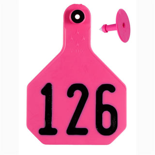 Y-Tex Pink All American 4 Star Tags Large Numbered 126-150 : Pack of 25