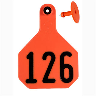 Y-Tex Orange All American 4 Star Tags Large Numbered 126-150 : Pack of 25
