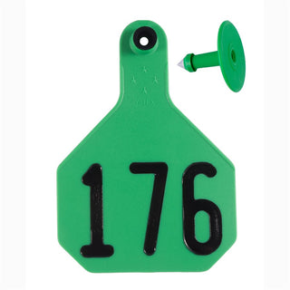 Y-Tex Green All American 4 Star Tags Large Numbered 176-200: Pack of 25