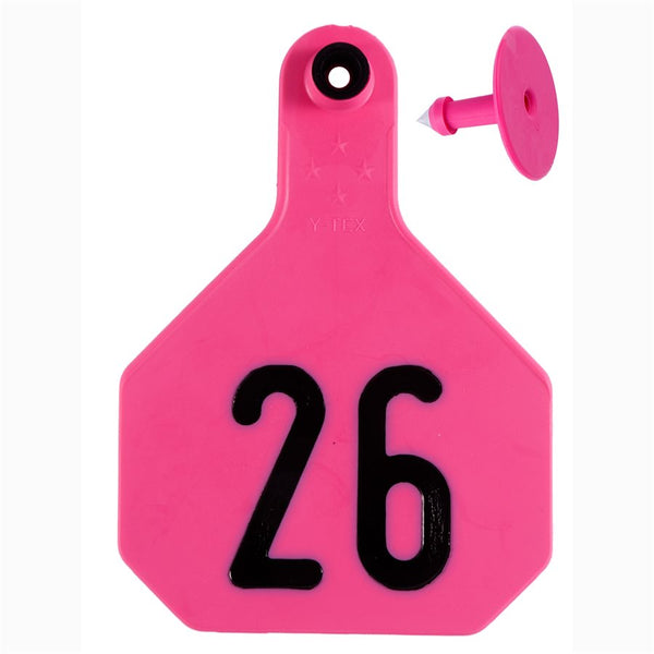 Y-Tex Pink All American 4 Star Tags Large Numbered 26-50: Pack of 25