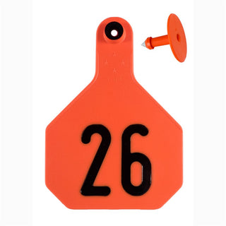 Y-Tex Orange All American 4 Star Tags Large Numbered 26-50 : Pack of 25