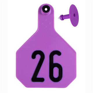 Y-Tex Purple All American 4 Star Tags Large Numbered 26-50 : Pack of 25