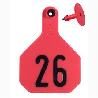 Y-Tex Red All American 4 Star Tags Large Numbered 26-50 : Pack of 25