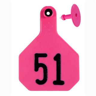 Y-Tex Pink All American 4 Star Tags Large Numbered 51-75 : Pack of 25