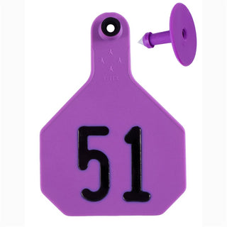 Y-Tex Purple All American 4 Star Tags Large Numbered 51-75 : Pack of 25