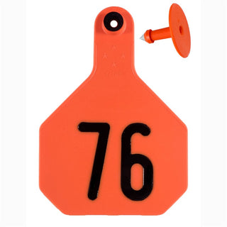 Y-Tex Orange All American 4 Star Tags Large Numbered 76-100 : Pack of 25