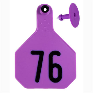 Y-Tex Purple All American 4 Star Tags Large Numbered 76-100 : Pack of 25