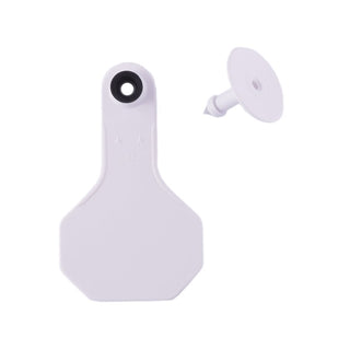 Y-Tex White All American 2 Star Tags Small Blank: Pack of 25