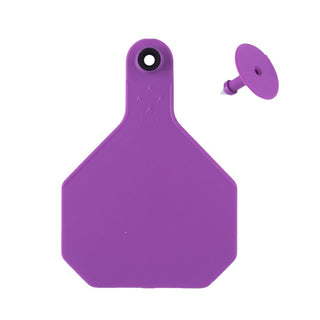 Y-Tex Purple All American 4 Star Tags Large Blank: Pack of 25