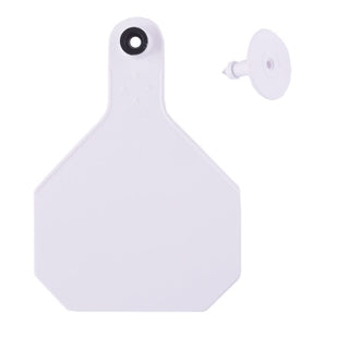 Y-Tex White All American 4 Star Tags Large Blank: Pack of 25
