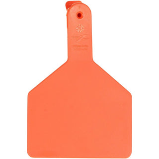 Z Tag No Snag Cow Blank :Tags - Pack of 25 Orange
