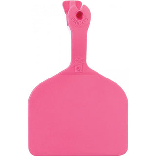 Z Tag Pink Feedlot Blank : Pack of 50