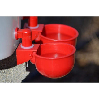 Rentacoop Plastic Water Cups : 6pk