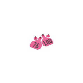 Y-Tex Pink All American 3 Star Tags Medium Numbered 76-100 : Pack of 25