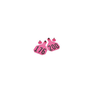 Y-Tex Pink All American 4 Star Tags Large Numbered 176-200 : Pack of 25