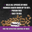 MouseX Ready Bait Trays : 3oz/2ct