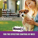 MouseX Throw Packs: 6ct