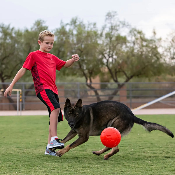 Jolly Pets Ocean Blue  Soccer Ball Dog Toy : 6"
