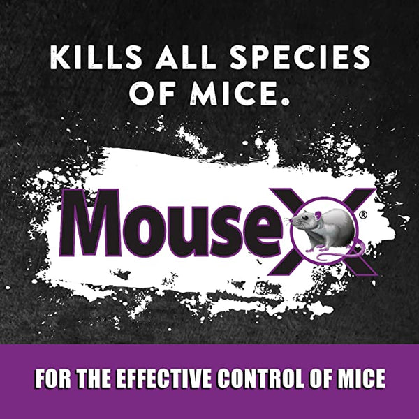 MouseX Ready Bait Trays : 3oz/2ct