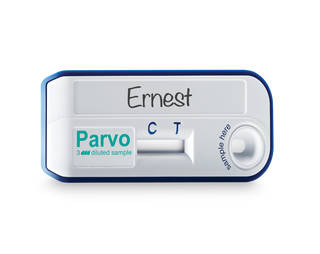 Vetscan Rapid Test Parvo  20ct