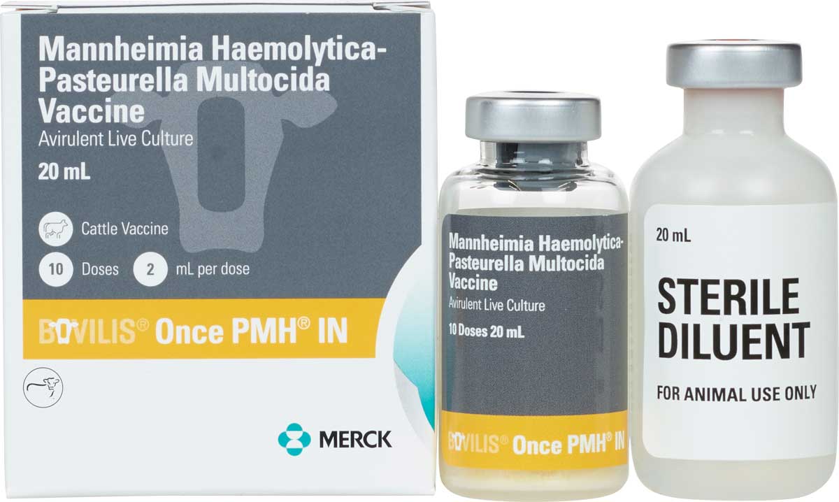 Bovilis Once PMH IN 20ml : 10ds | Heritage Animal Health