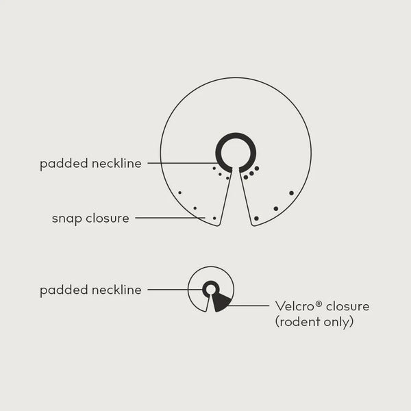 Saf-T-Shield E Collar For Birds: (1.25" To 2")