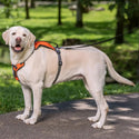 Petsafe Walk Along Harness Orange : Large