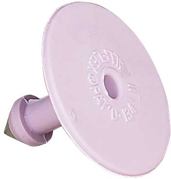 Allflex Global Small Male Blank Buttons Purple : 25ct