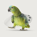 Saf-T-Shield E Collar For Birds: (1.25" To 2")