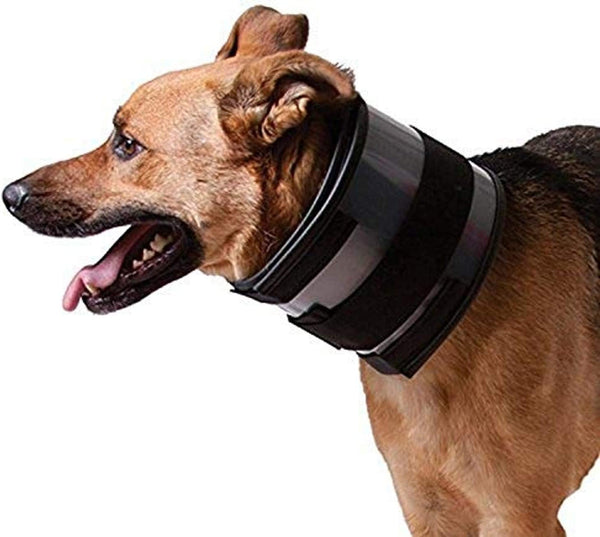 Bite Free Recovery Collar : 6" Wide & 21"-25" Neck Circumference