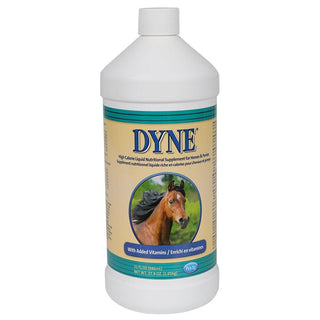Dyne High Calorie Liquid Horse: 32oz