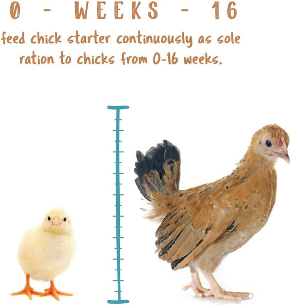 Chick Starter Non Medicated : 5lb