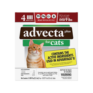 Advecta Plus Flea Protection for Cats 4 dose : 9lbs & over