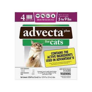 Advecta Plus Flea Protection for Cats  4 dose : 5-9 lbs
