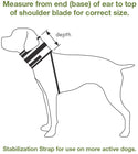 Bite Free Recovery Collar : 7" Wide & 21"26" Neck Circumference