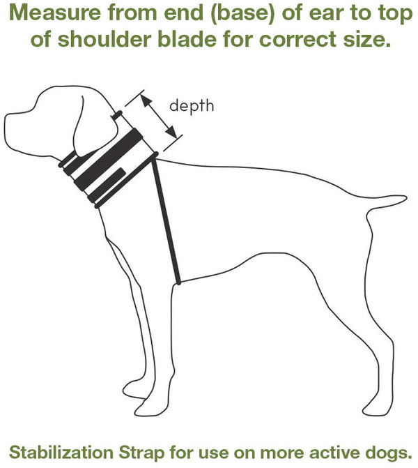 Bite Free Recovery Collar : 3.5" Wide & 14"-17" Neck Circumference