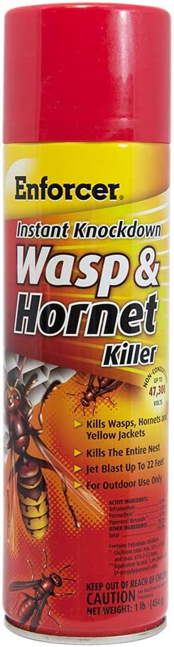 Enforcer Instant Knockdown Wasp Hornet Spray : 16oz