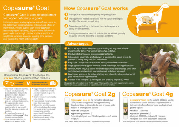 Animax Copasure Bolus for Goats 4gm : 12 ct